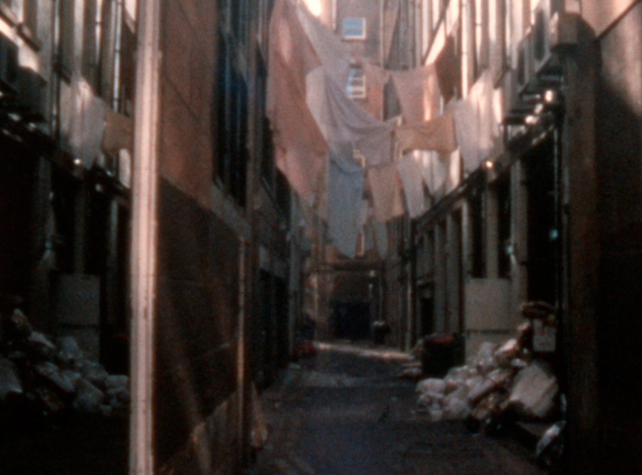 Laundry Alley