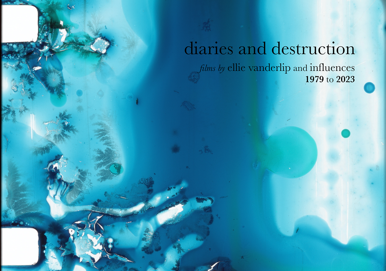 Vanderlip, Diaries & Destruction