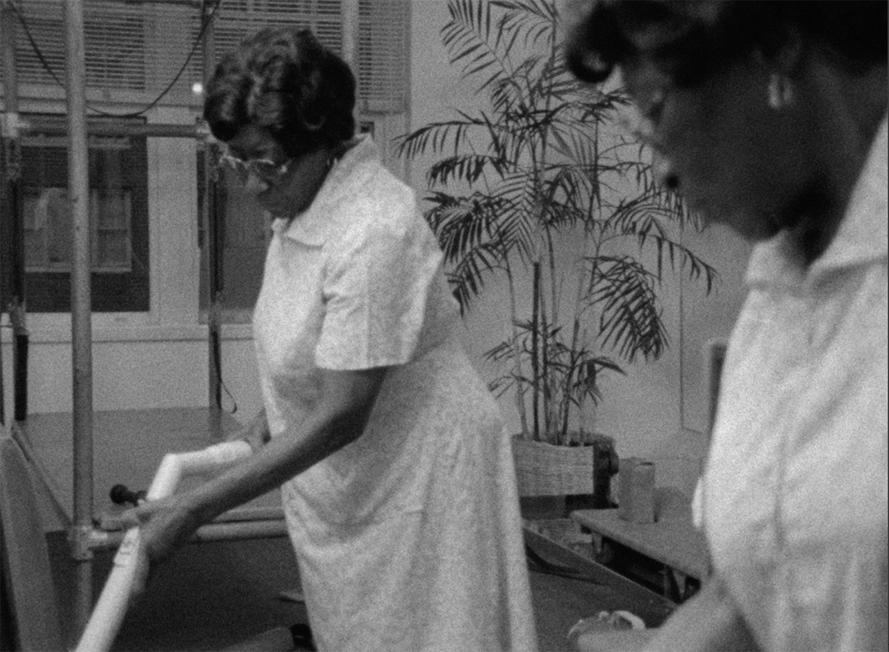 Fannie's Film by Fronza Woods