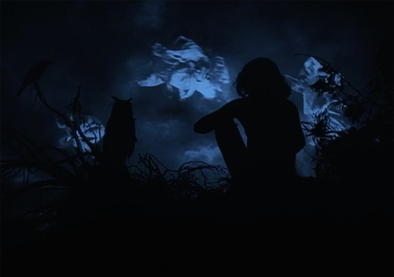 The Haunted Frame