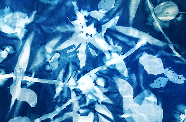 experimental cyanotype workshop with Kate Lain