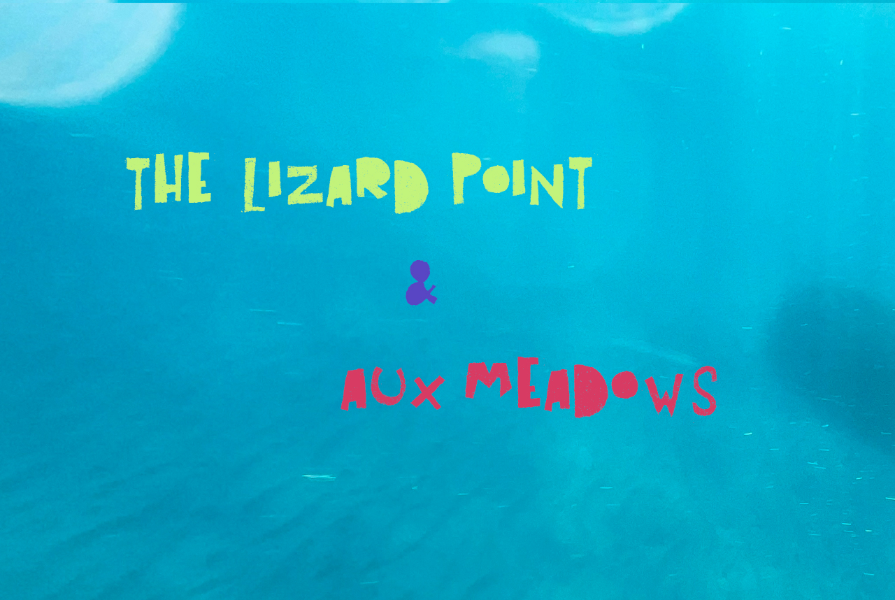 Lizard Point & Aux Meadows
