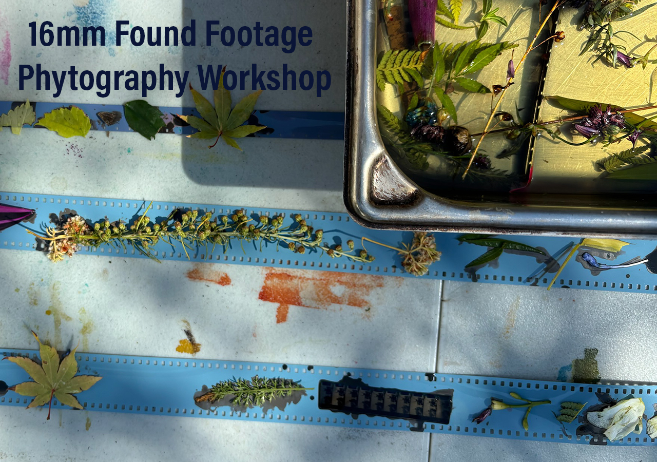 Phytography workshop with Ellie Vanderlip